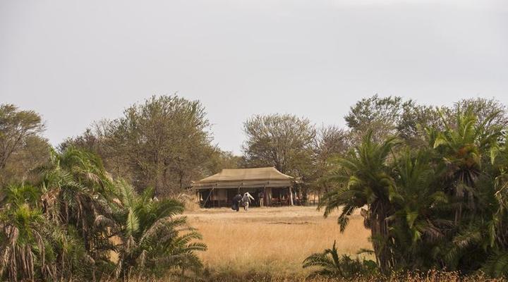 Bologonya Under Canvas