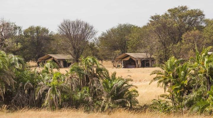 Bologonya Under Canvas