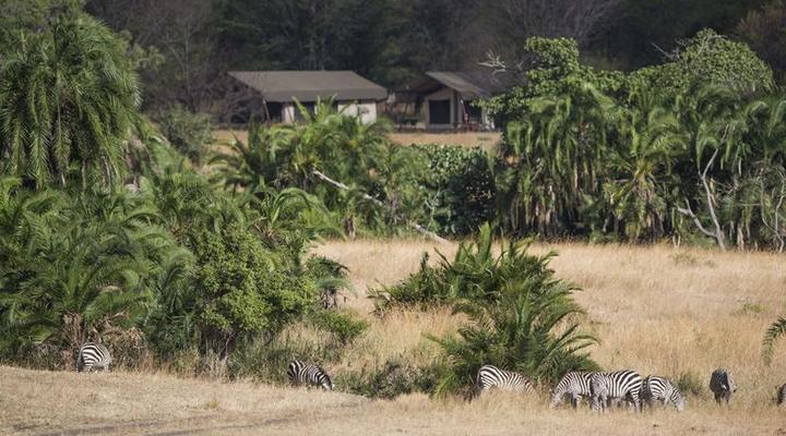 Bologonya Under Canvas
