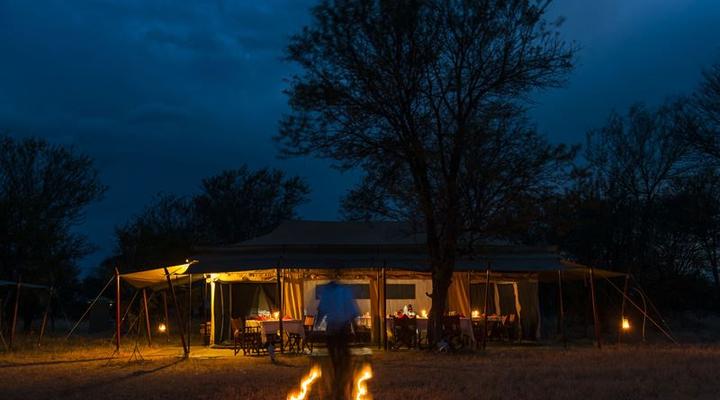 Bologonya Under Canvas