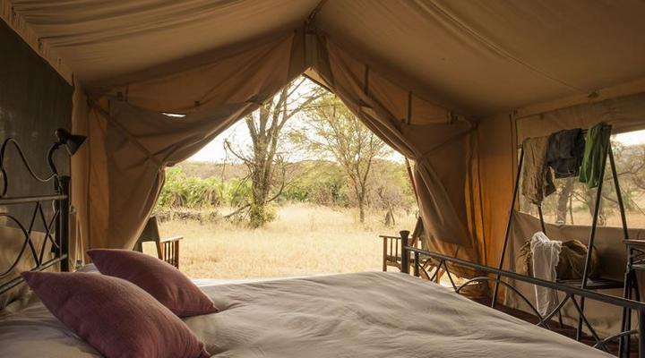 Bologonya Under Canvas