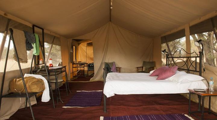 Bologonya Under Canvas