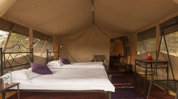 Bologonya Under Canvas