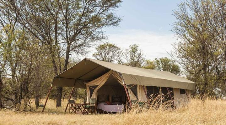 Bologonya Under Canvas