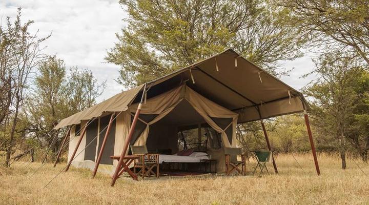 Bologonya Under Canvas