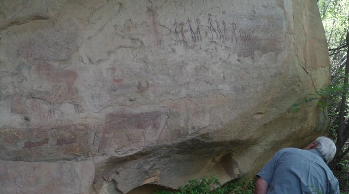 Twin Oaks Guest Farm