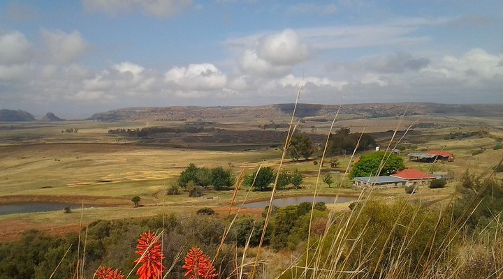 Twin Oaks Guest Farm