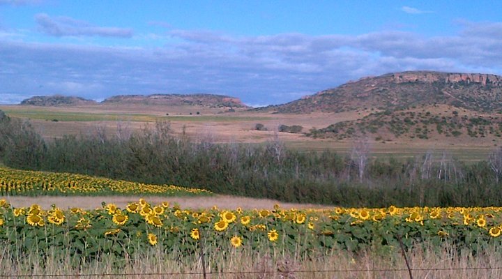 Twin Oaks Guest Farm