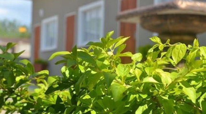 CasaKaya B&B