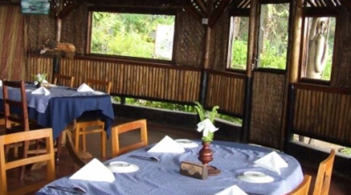 Mount Kilimanjaro View Lodge