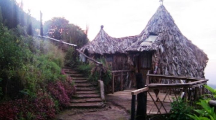 Mount Kilimanjaro View Lodge