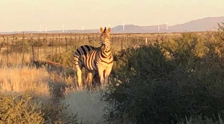 Tented Camp Sweetfontein