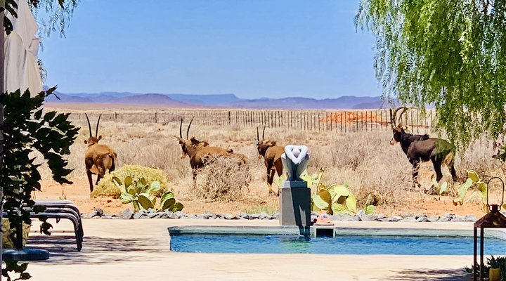 Tented Camp Sweetfontein