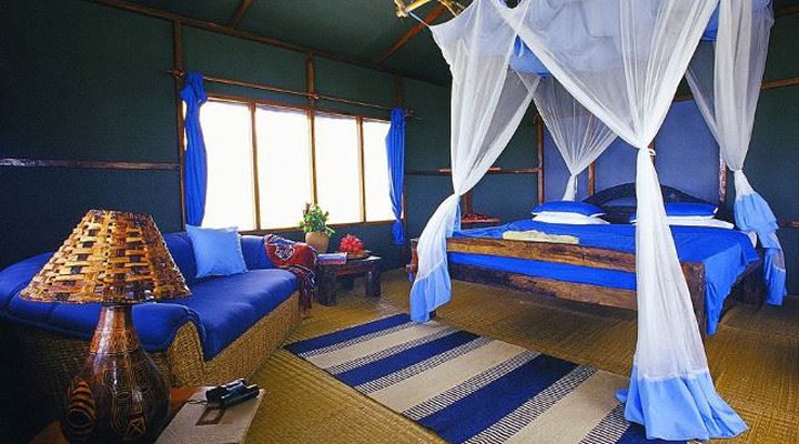Tent With a View