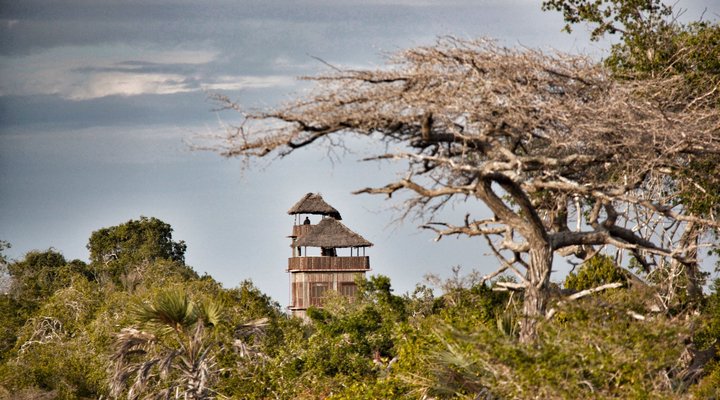 The Roof of Saadani