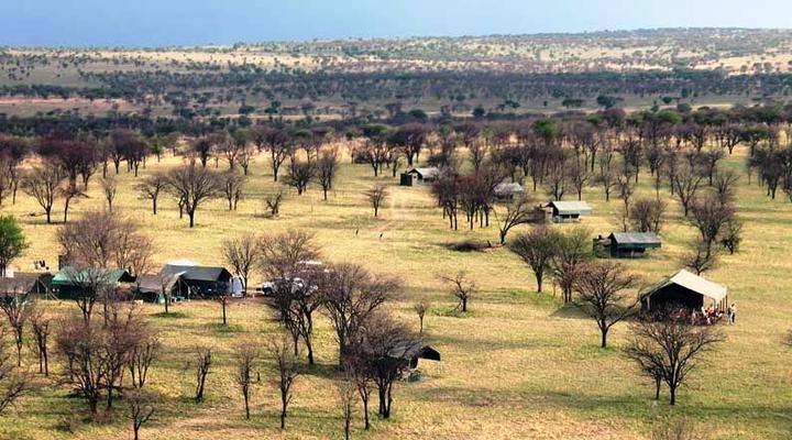 African View - Serengeti View Camp