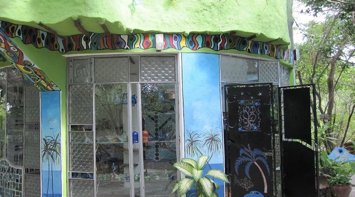 Doum Palm & The Eco Tower