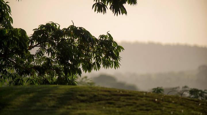 Vipingo Ridge House A118