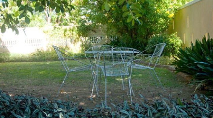 Aloe-Garden