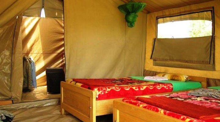 Ikoma Wild Camp & Cottages