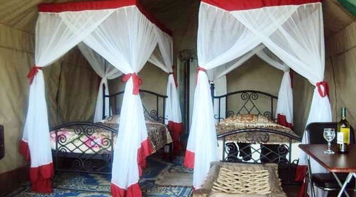 Ikoma Wild Camp & Cottages