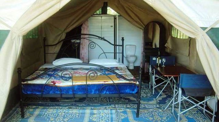 Ikoma Wild Camp & Cottages