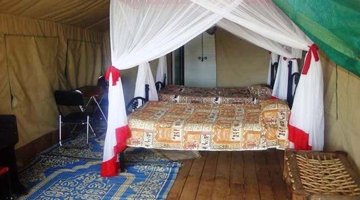 Ikoma Wild Camp & Cottages