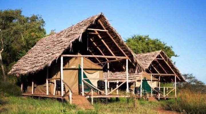 Ikoma Wild Camp & Cottages