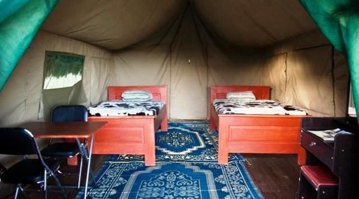 Ikoma Wild Camp & Cottages