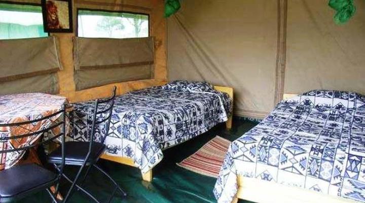 Serengeti Wild Camp