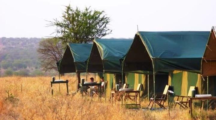 Serengeti Wild Camp
