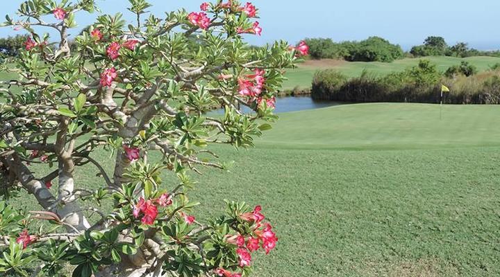 Vipingo Ridge Luxury Golf Villas