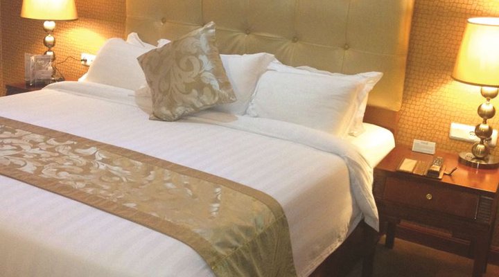 Jupiter International Hotel Bole
