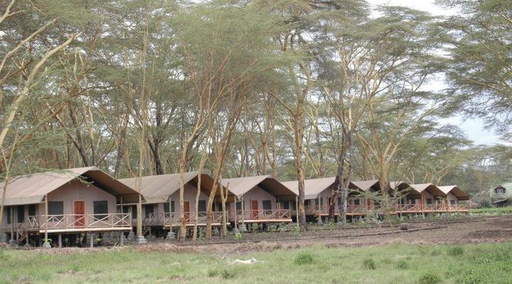 Lake Naivasha Crescent Camp