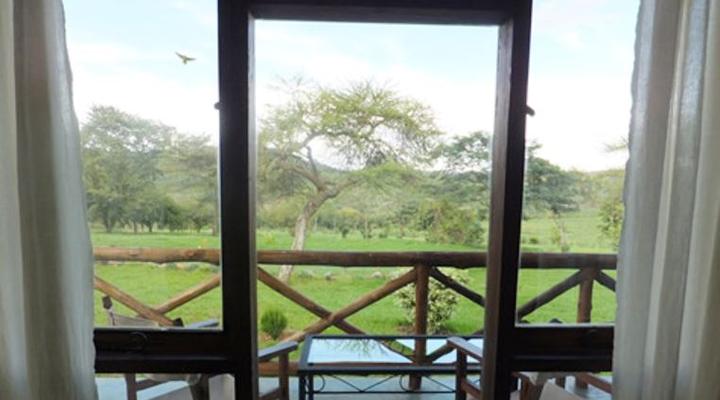 Olea Africana Lodge