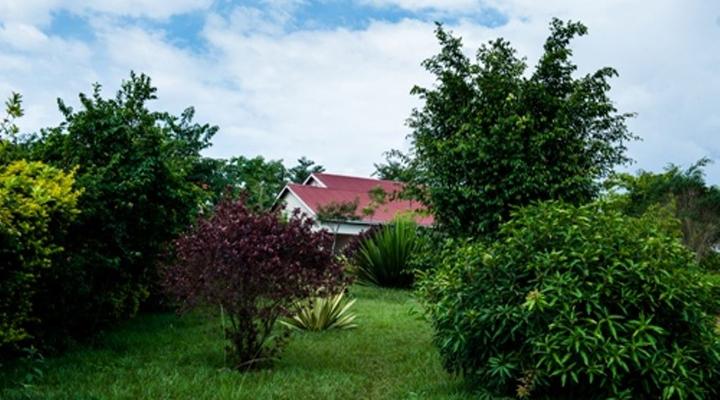 Soho Greens Apartments