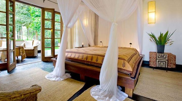 The Plantation Lodge