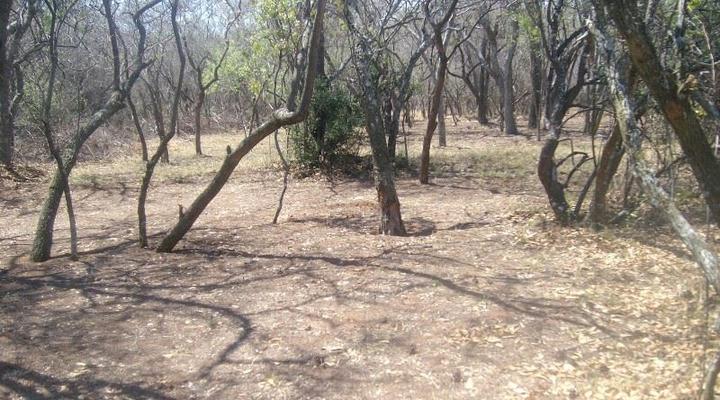 Jakkalskuur Gasteplaas en 4x4 Roete