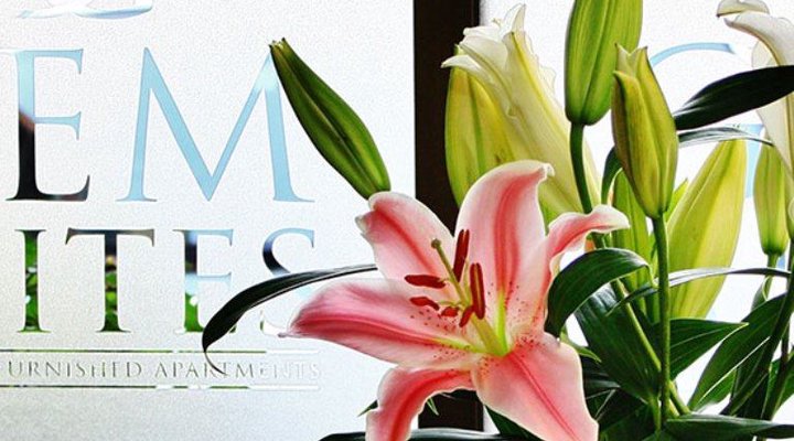 Gem Apartments