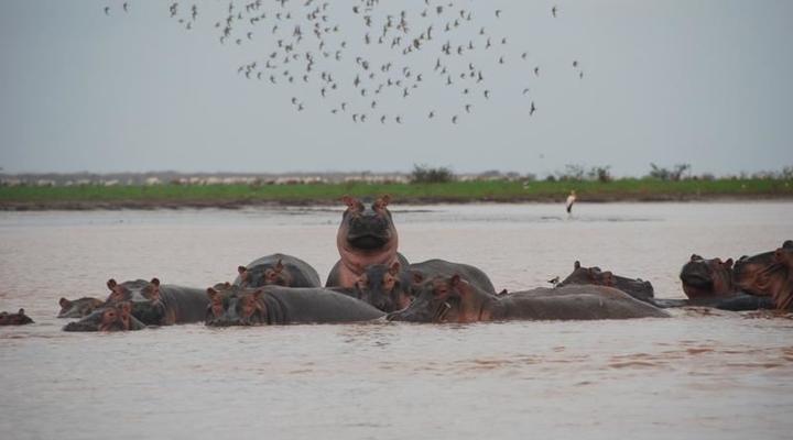 Kipini Tana River Camp