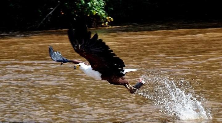 Kipini Tana River Camp