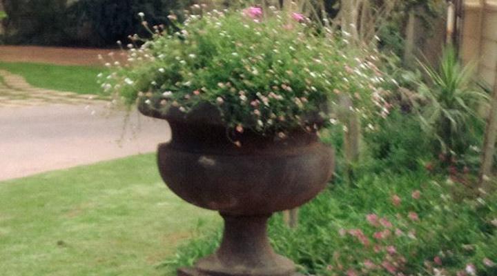 Summer Grace Guest Cottage