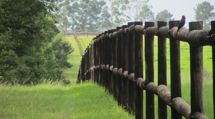 Sweetwater Farm Cottages