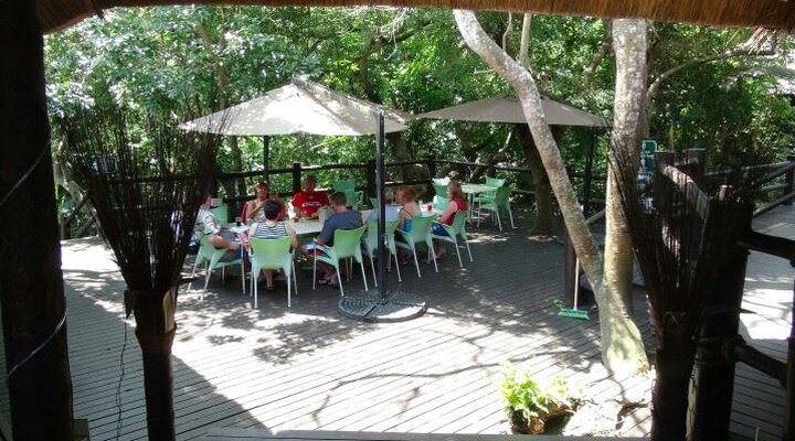 Baleia Vista - Ponto Do Oura