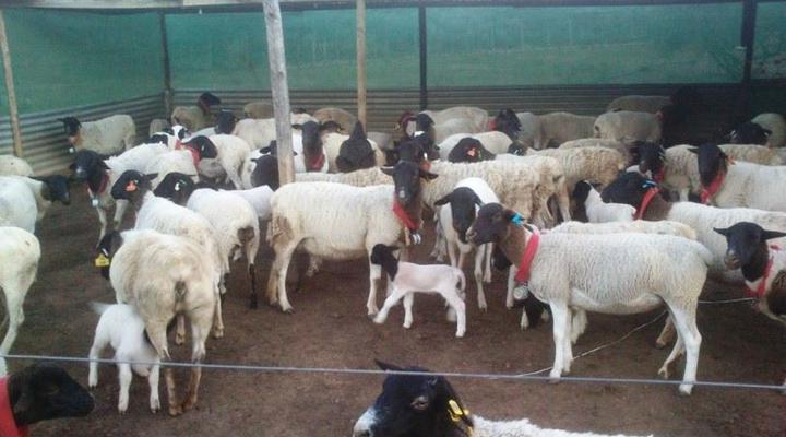 @R62 Langklip Estate