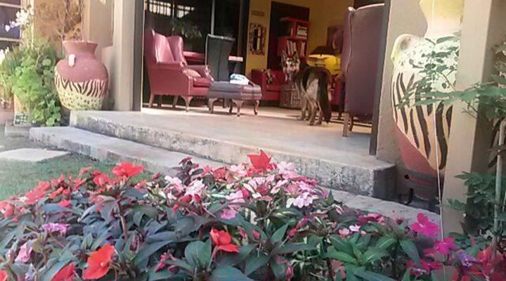 A Leopard Lily Bed and Breakfast