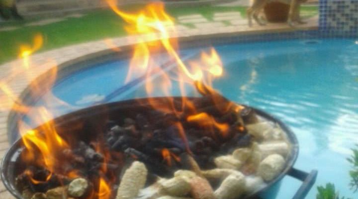 A Leopard Lily Bed and Breakfast