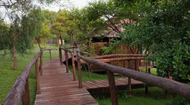 Ngorongoro Forest Tented Lodge
