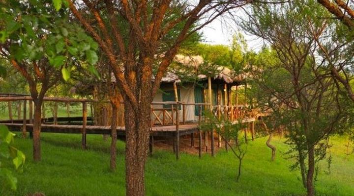 Ngorongoro Forest Tented Lodge