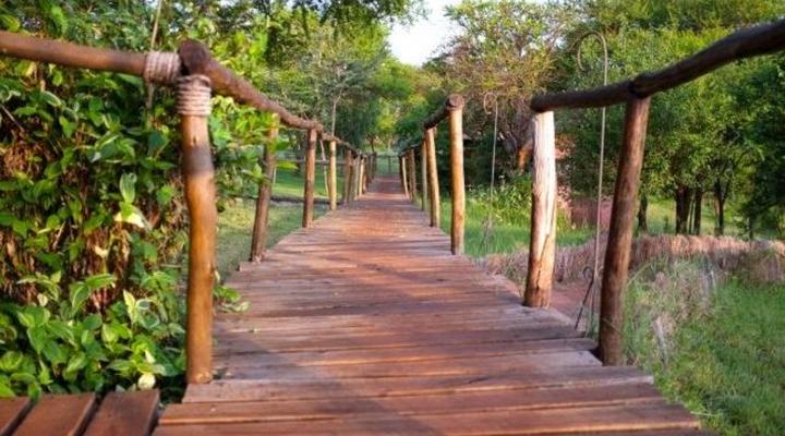 Ngorongoro Forest Tented Lodge